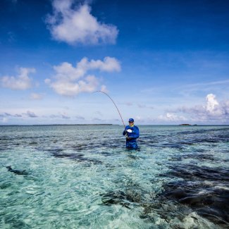 Cosmoledo Flyfish Adventures 03-2017 2017-03-flyfish-adventures-cosmoledo-aplhonse37.jpg